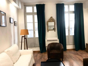 Le musée Fabre, appart de charme , parking gratuit